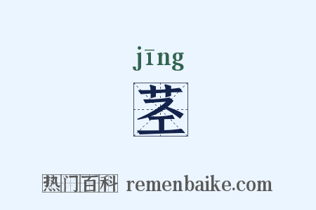 茎是什么意思的图片